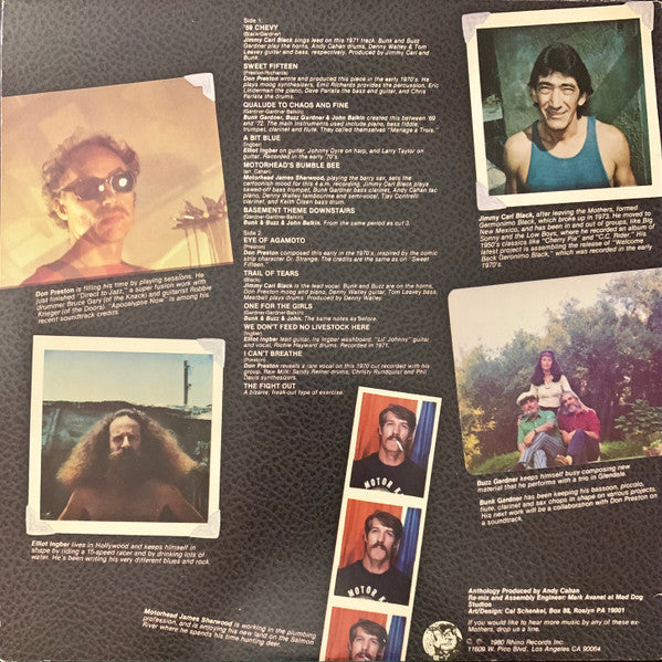 The Grandmothers - An Anthology Of Previously Unreleased Recordings By Ex-Members Of The Mothers Of Invention