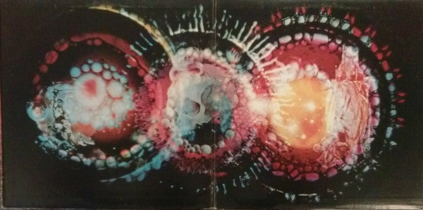 Paul Kantner - Sunfighter