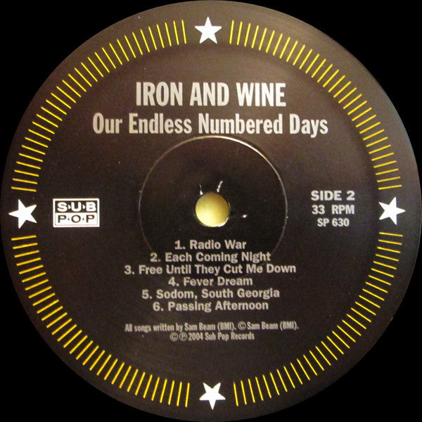 Iron And Wine - Our Endless Numbered Days