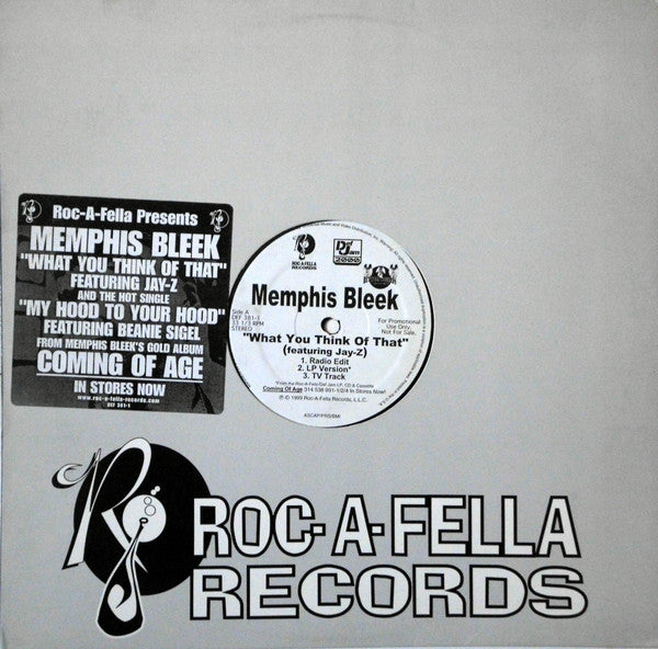 Memphis Bleek - What You Think Of That
