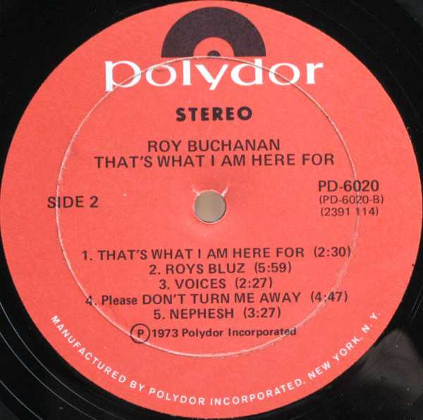 Roy Buchanan - That's What I Am Here For