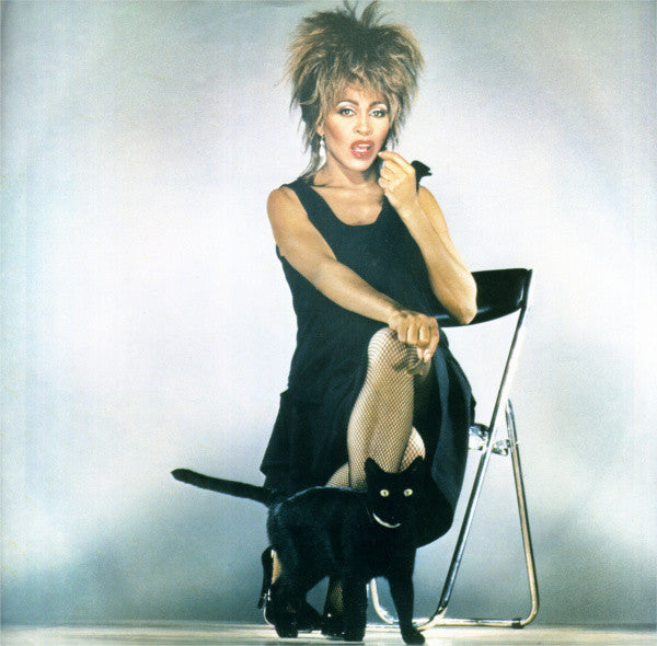Tina Turner - Private Dancer