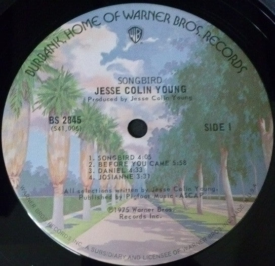 Jesse Colin Young - Songbird