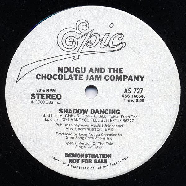 Leon Ndugu Chancler - Shadow Dancing