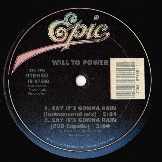 Will To Power - Say It's Gonna Rain