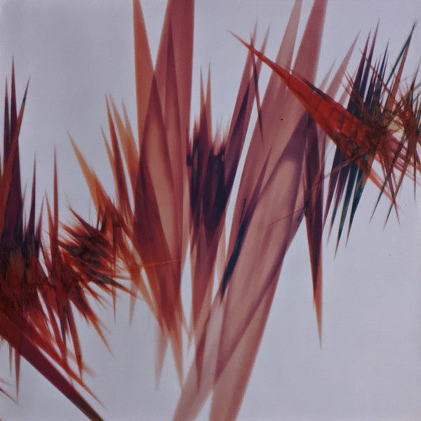 Jon Hopkins - Immunity