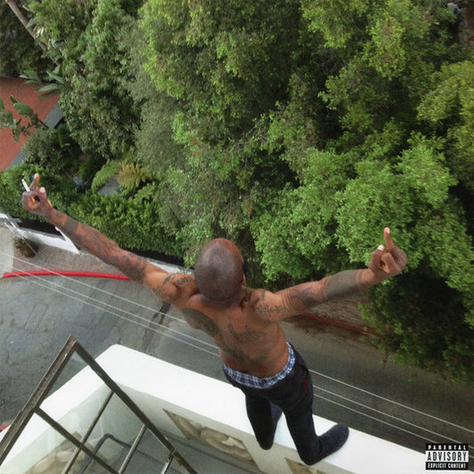 Death Grips - No Love Deep Web [RSD 2022, Coke Bottle Clear, Alternate Cover]