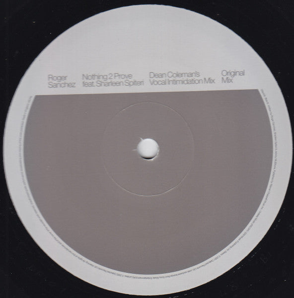 Roger Sanchez - Nothing 2 Prove