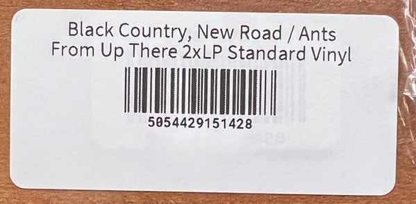 Black Country, New Road - Ants From Up There