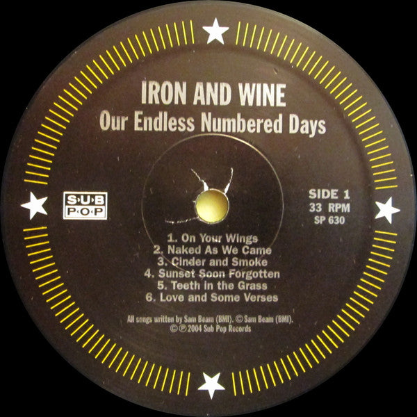 Iron And Wine - Our Endless Numbered Days