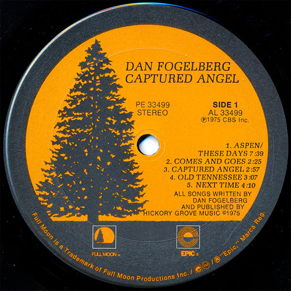 Dan Fogelberg - Captured Angel