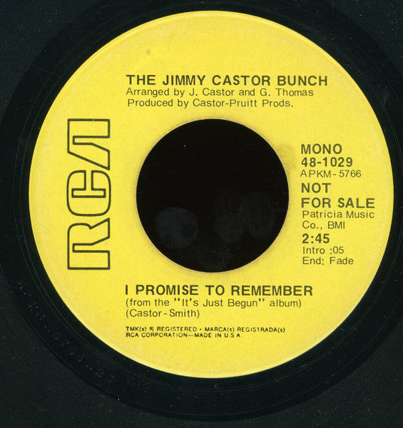 The Jimmy Castor Bunch - Troglodyte (Cave Man) / I Promise To Remember