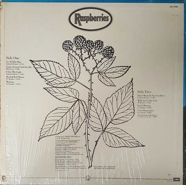 Raspberries