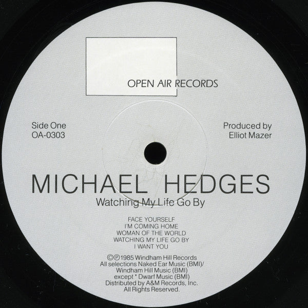 Michael Hedges - Watching My Life Go By