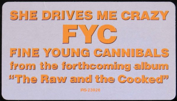 Fine Young Cannibals - She Drives Me Crazy