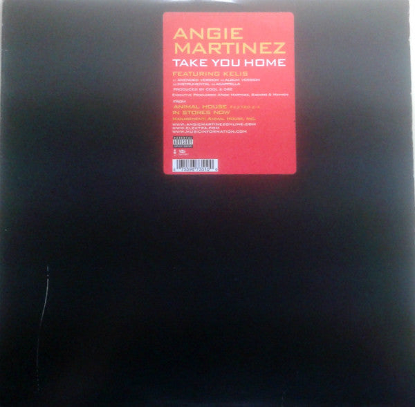 Angie Martinez - Take You Home