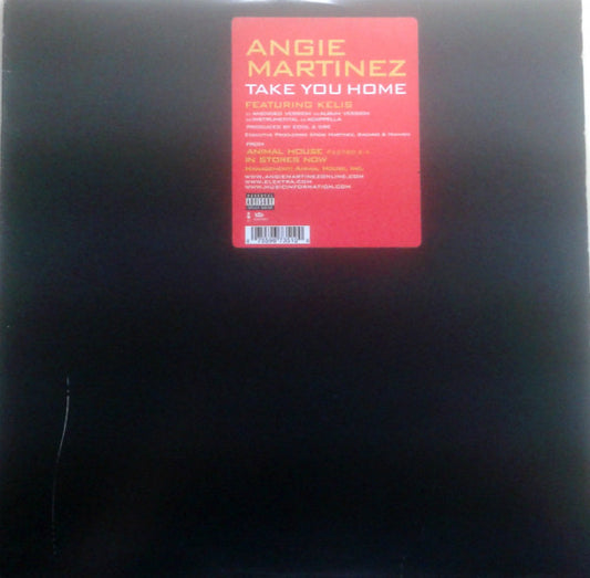 Angie Martinez - Take You Home