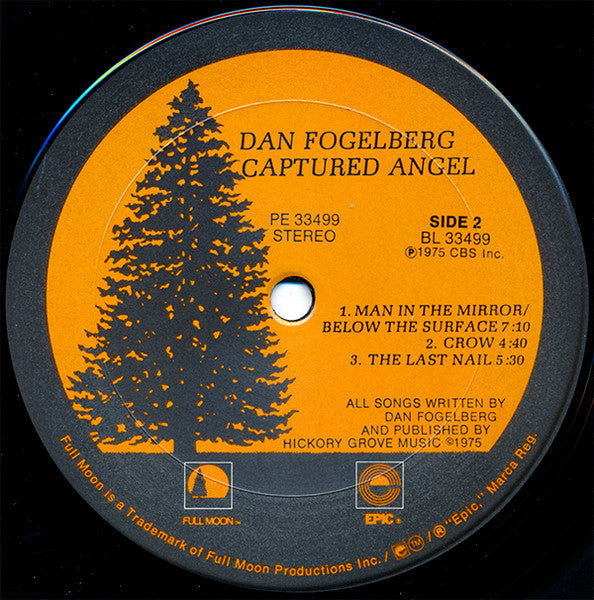 Dan Fogelberg - Captured Angel