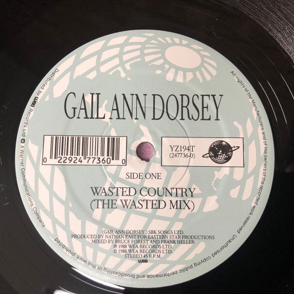 Gail Ann Dorsey - Wasted Country