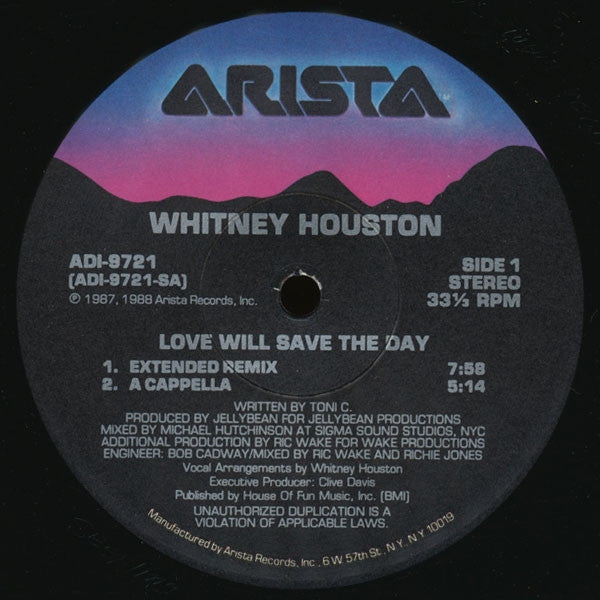 Whitney Houston - Love Will Save The Day