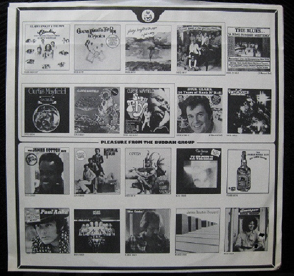 The James Cotton Band - 100% Cotton