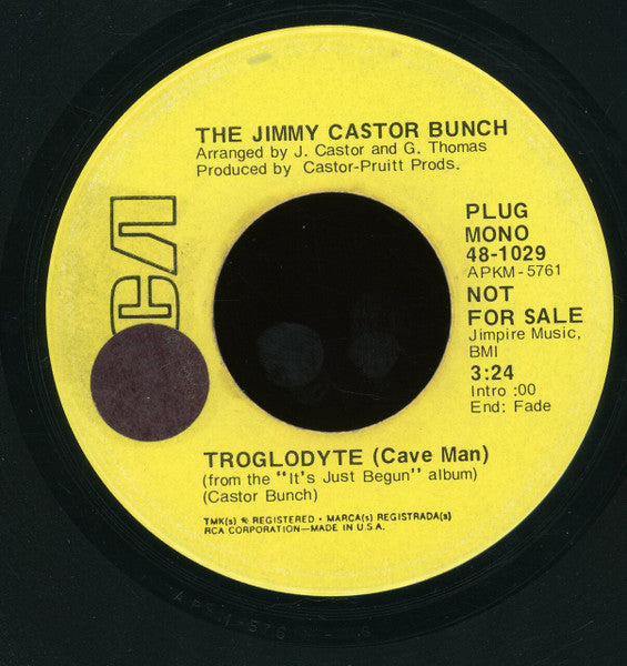 The Jimmy Castor Bunch - Troglodyte (Cave Man) / I Promise To Remember