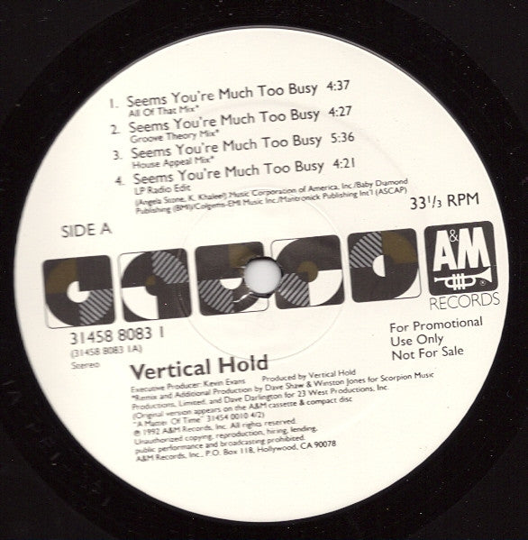 Vertical Hold - Seems You're Much Too Busy