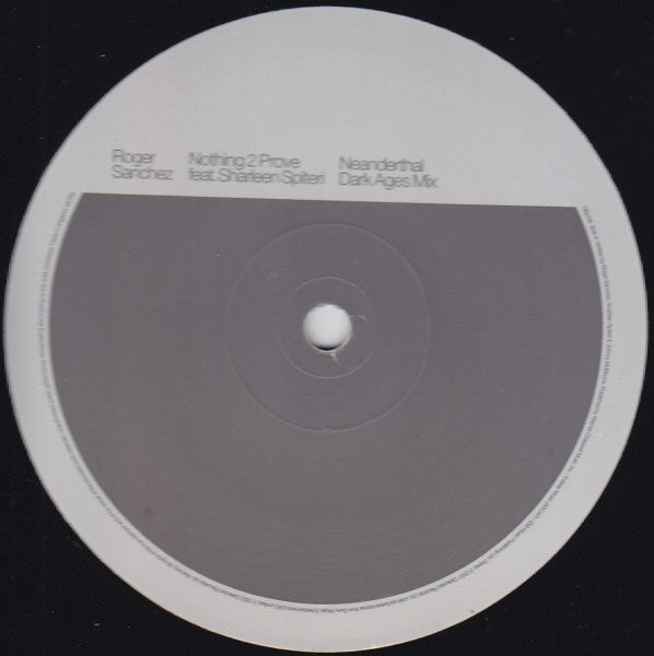 Roger Sanchez - Nothing 2 Prove