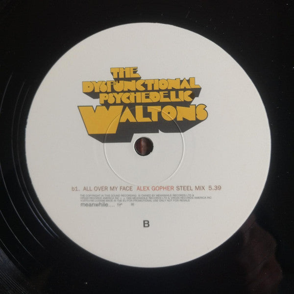 The Dysfunctional Psychedelic Waltons - All Over My Face
