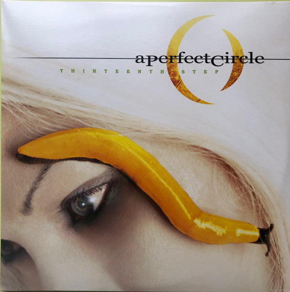 A Perfect Circle - Thirteenth Step