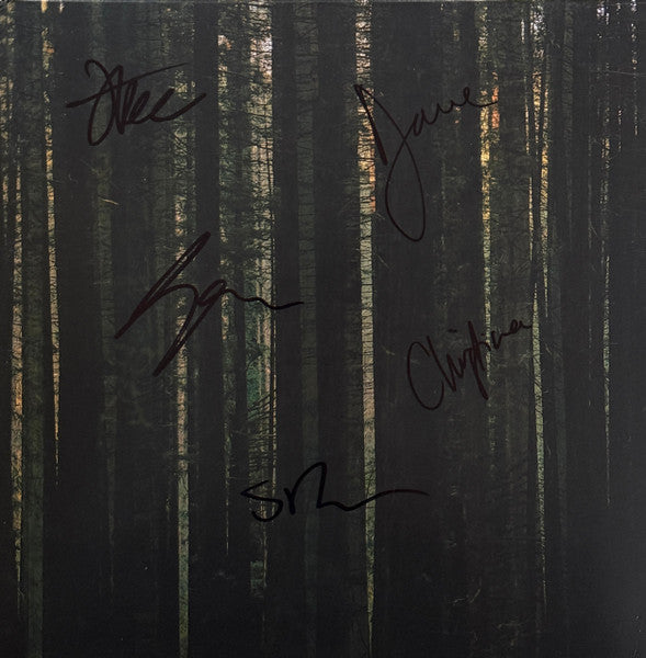 The Paper Kites - Evergreen