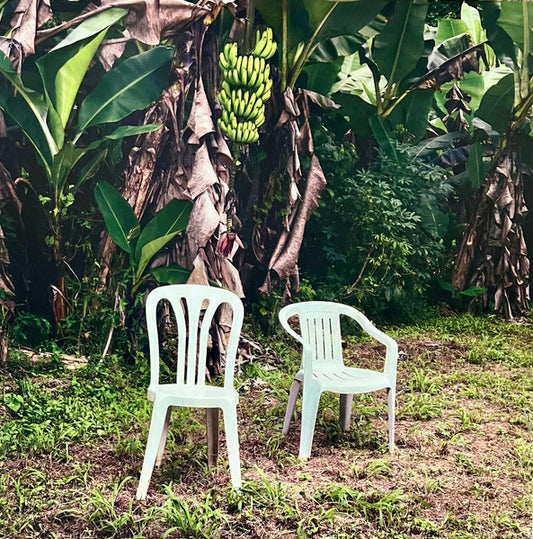 Debí Tirar Más Fotos