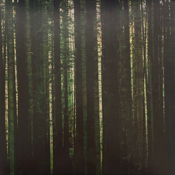 The Paper Kites - Evergreen