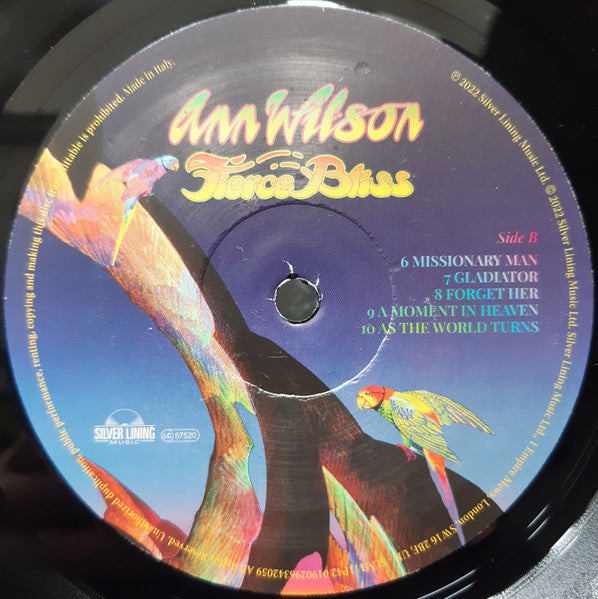 Ann Wilson - Fierce Bliss