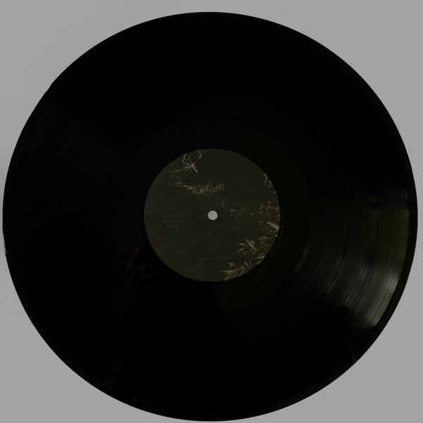 Willoughby Tucker, I'll Always Love You