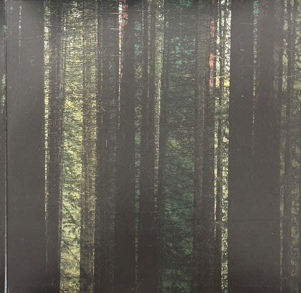 The Paper Kites - Evergreen