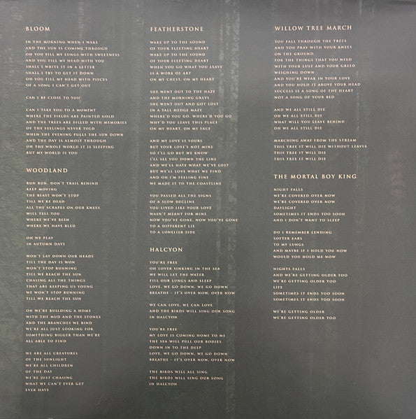 The Paper Kites - Evergreen