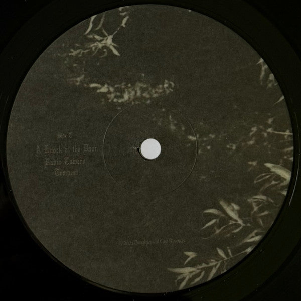 Willoughby Tucker, I'll Always Love You