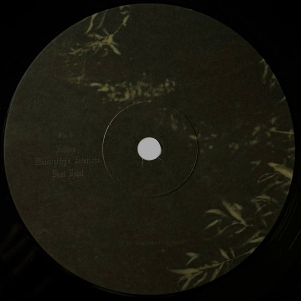 Willoughby Tucker, I'll Always Love You