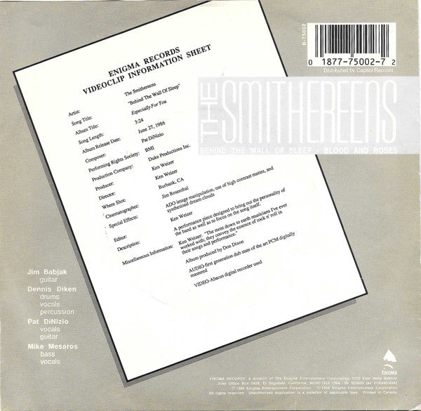 The Smithereens - Behind The Wall Of Sleep