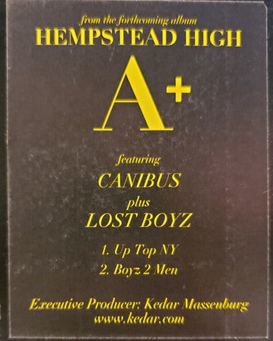 A+ - Up Top NY / Boyz 2 Men