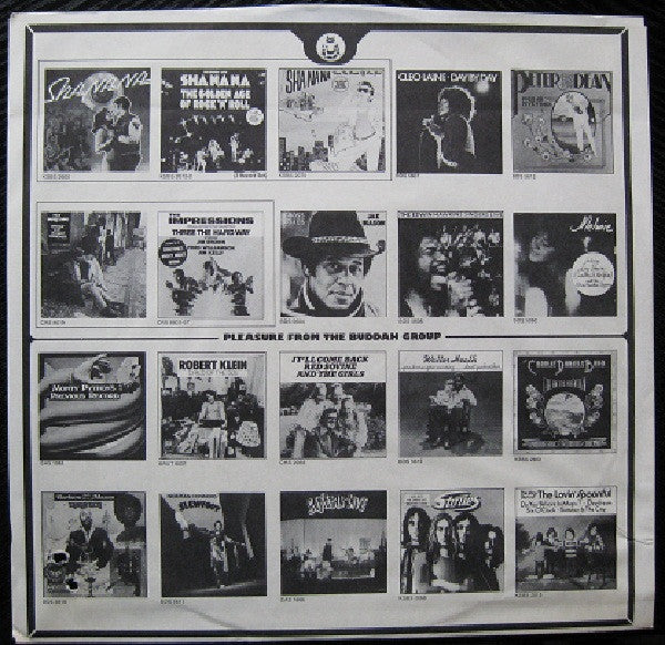 The James Cotton Band - 100% Cotton