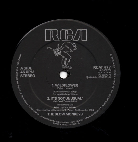 The Blow Monkeys - Wildflower
