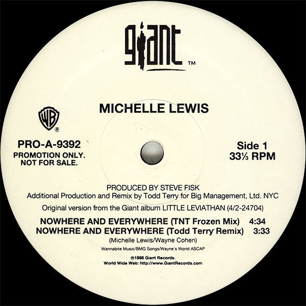 Michelle Lewis - Nowhere And Everywhere