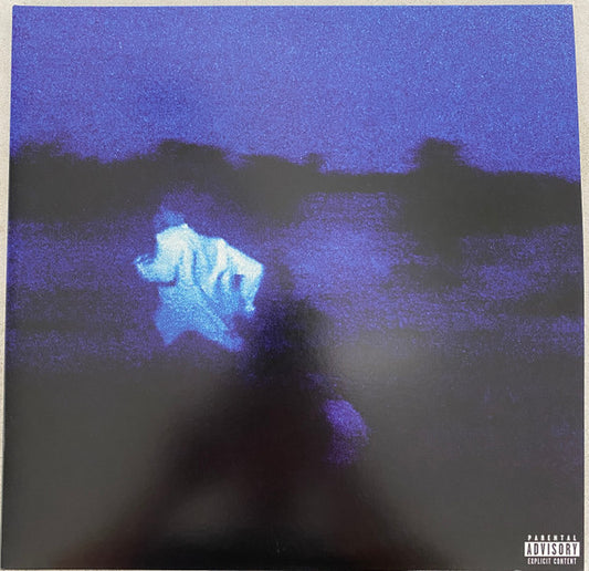 Daniel Caesar - Never Enough