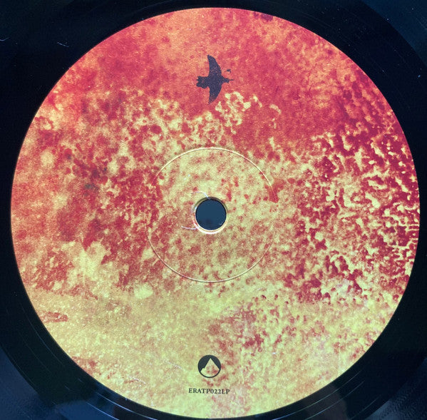 ...And They Have Escaped The Weight Of Darkness