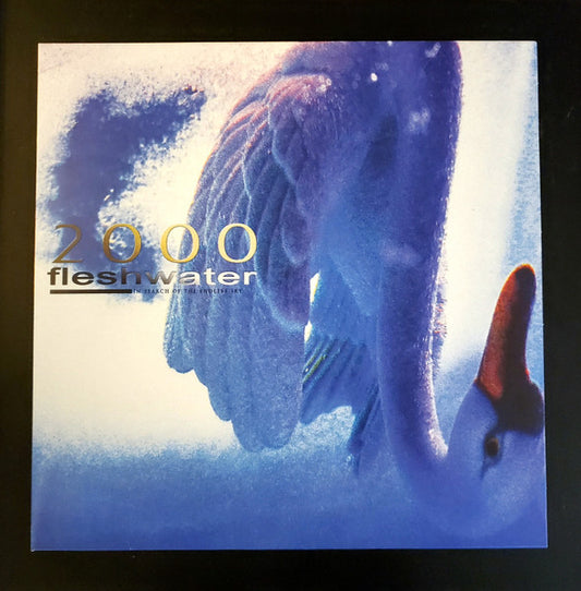 Fleshwater - 2000: In Search Of The Endless Sky