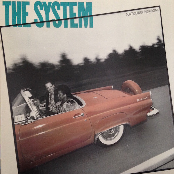 The System - Don't Disturb This Groove