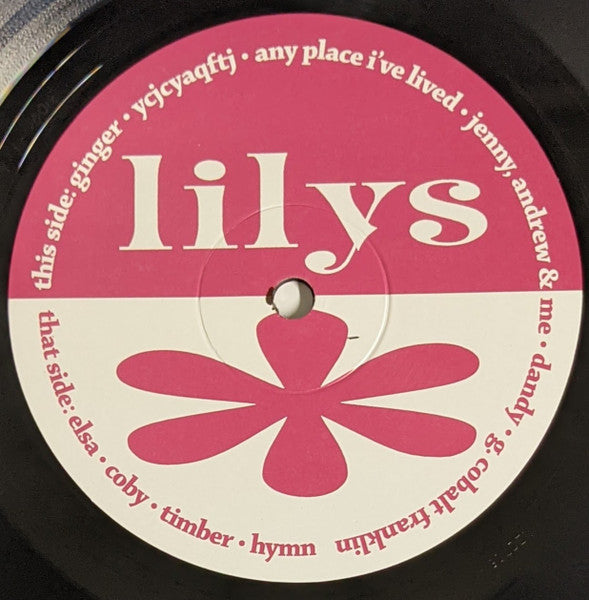 Lilys - A Brief History Of Amazing Letdowns