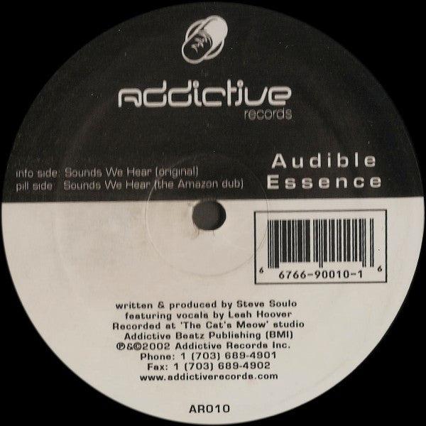 Audible Essence - Sounds We Hear